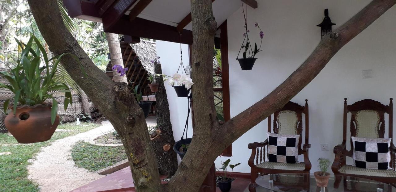 Yaluwa Tourist Rest & Cooking Class Anuradhapura Exterior photo